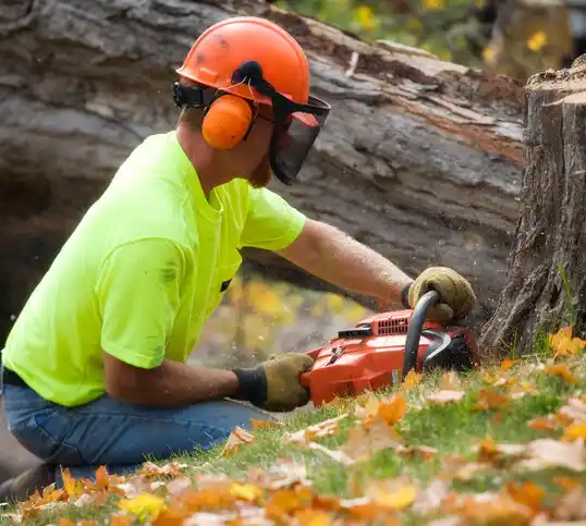 tree services Commack